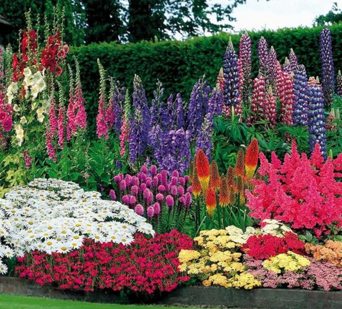 idée de génie jardin originale, parterre de fleurs, différents genres de fleurs, de taille et e couleurs diverses, idée deco jardin