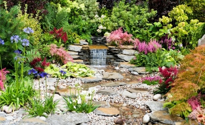 petit-bassin-d-eau-entouré-de-végétation-fleur-de-rocaille-différents-genres-de-fleurs-violettes-rouges-et-rose