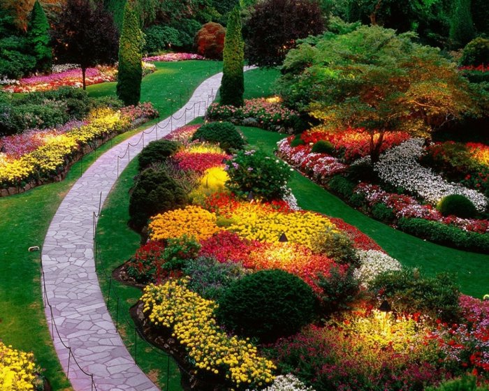 plusieurs ilots fleuris, fleurs de couleurs diverses, arbres, arbustes, une allée de pierres, idée de génie jardin originale, 