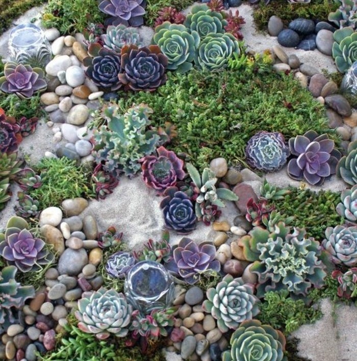 plantes-de-rocaille-succulents-sable-et-cailloux-pour-décorer-un-jardin-idee-comment-faire-une-rocaille