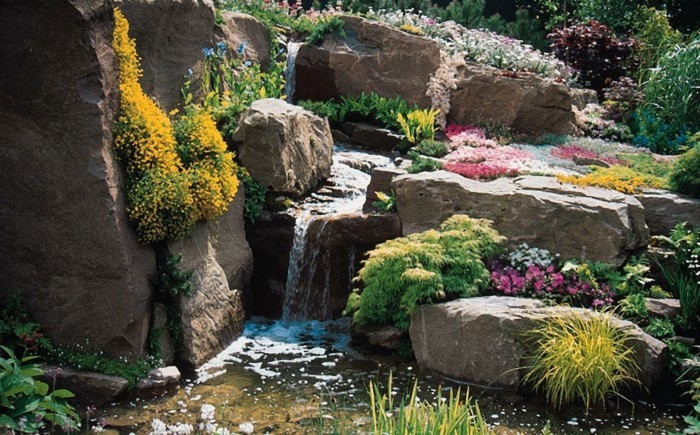 rocaille-fleurie-avec-un-petit-bassin-d-eau-grosse-pierre-decoration-jardin-fleurs-et-arbustes-couleurs-diverses