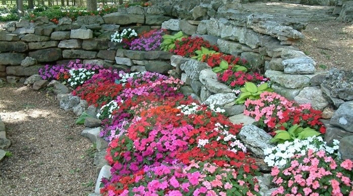 rocaille-fleurie-des-pierres-décorées-de-pétunias-de-couleurs-diverses-pierres-et-escalier-en-pierre-amenagement-jardin-alpestre