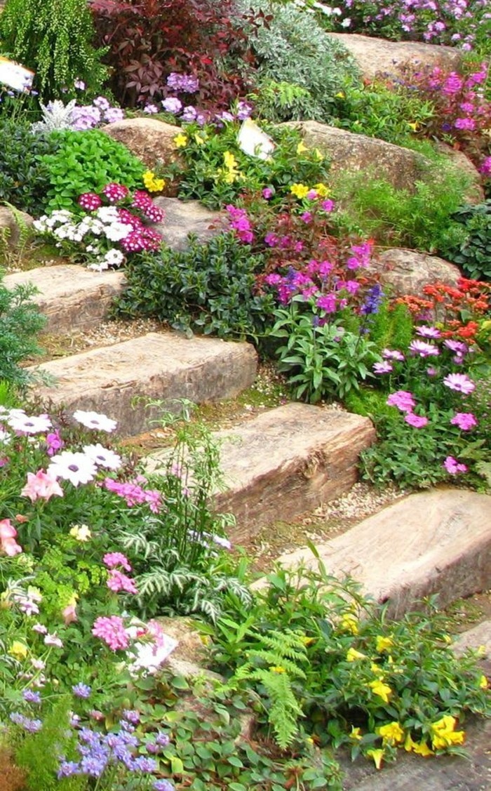 rocaille-fleurie-en-pente-abrupte-escalier-en-pierre-bordé-en-pierre-et-fleur-de-rocaille-amenagement-jardin-coloré