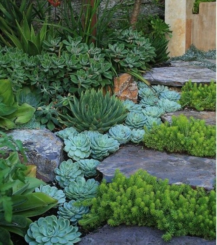 rocaille-fleurie-en-pente-avec-des-succulents-un-petit-escalier-en-pierre-idée-comment-faire-une-rocaille