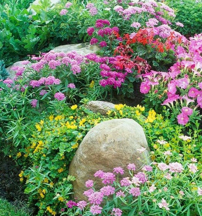 rocaille-fluerie-beaucoup-de-fleurs-de-couleurs-diverses-et-grosse-pierre-decoration-jardin-idée-amenagement-jardin