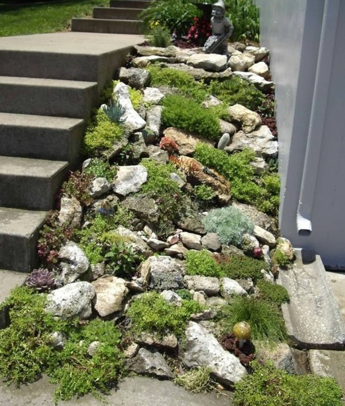 rocaille-jardin-couverte-de-végétation-le-long-d-un-escalier-en-béton-idée-comment-faire-une-rocaille
