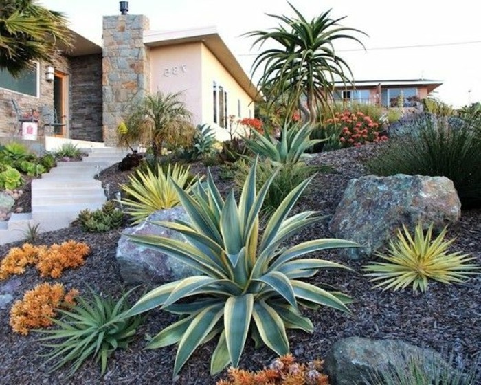 un-jardin-tropical-en-pente-abrupte-palmier-succulents-gravier-et-grosse-pierre-decoration-jardin-plantes-de-rocaille