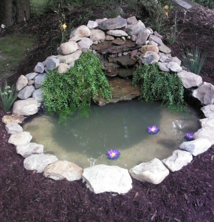 un-petit-bassin-d-eau-améangé-dans-un-jardin-bordé-de-pierres-vegetation-verte-idée-aménagement-coin-nature