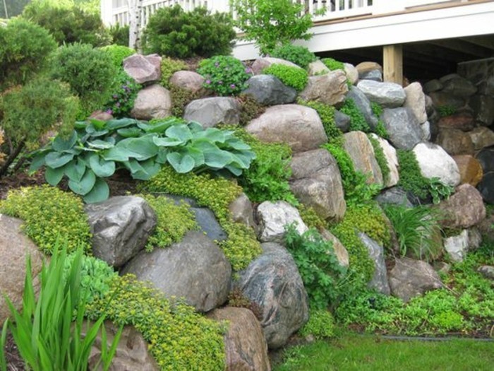 une-petite-colline-de-pierres-idée-comment-faire-une-rocaille-vegetation-plantes-vertes-idée-amenagement-exterieur-maison
