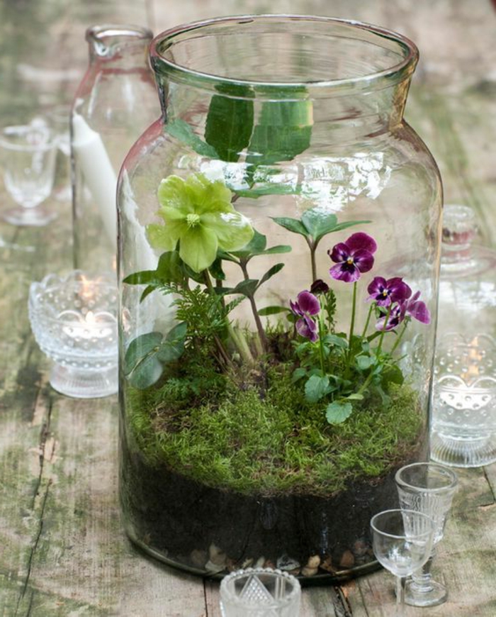 bocaux en verre, un mini jardin vert avec grand bocal de verre 