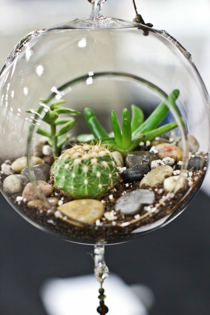 terrarium suspendu, récipient en verre, projet DIY, petit cactus, cailloux décoratifs