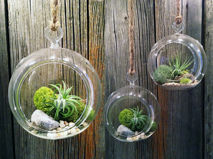 terrarium suspendu, cailloux décoratifs, boule en verre à suspendre, plantes vertes, terrarium bocal