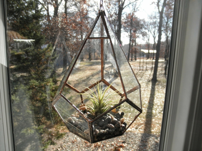terrarium suspendu, récipient en verre, air plant, cailloux décoratifs, jardin miniature