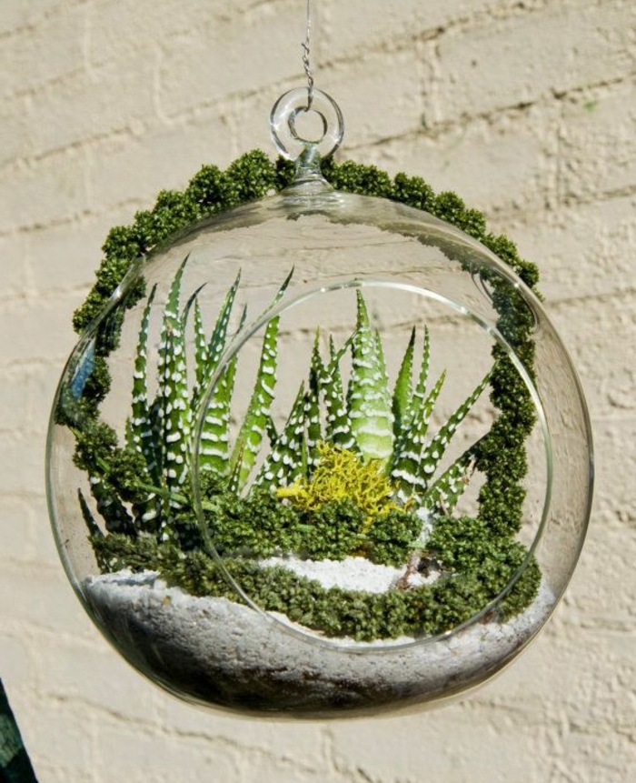 terrarium plante, sable blanc, cailloux, boule en verre à suspendre, terrarium végétal