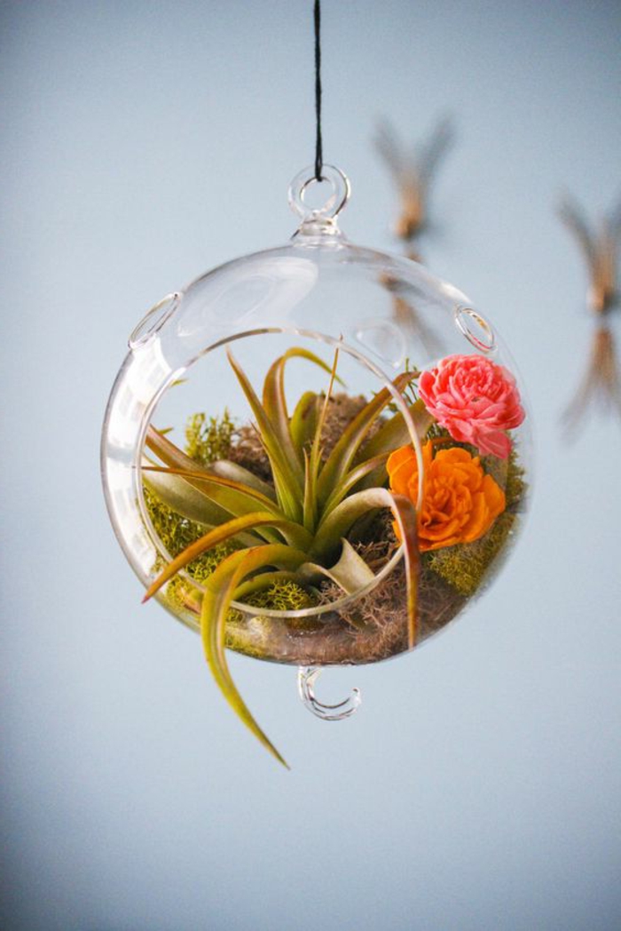terrarium suspendu, roses artificielles, boule en verre à suspendre, corde noire