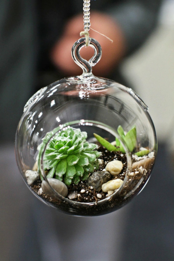 terrarium plantes grasses, cailloux décoratifs, terreau, boule en verre à suspendre