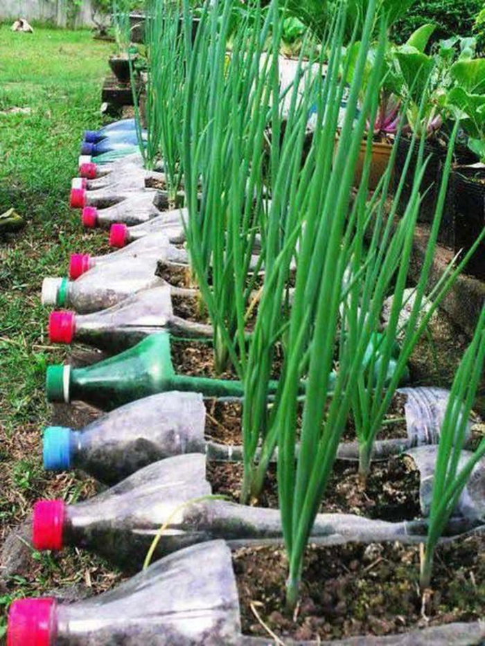 bricolage bouteille plastique, pots de fleurs diy pour le jardin 