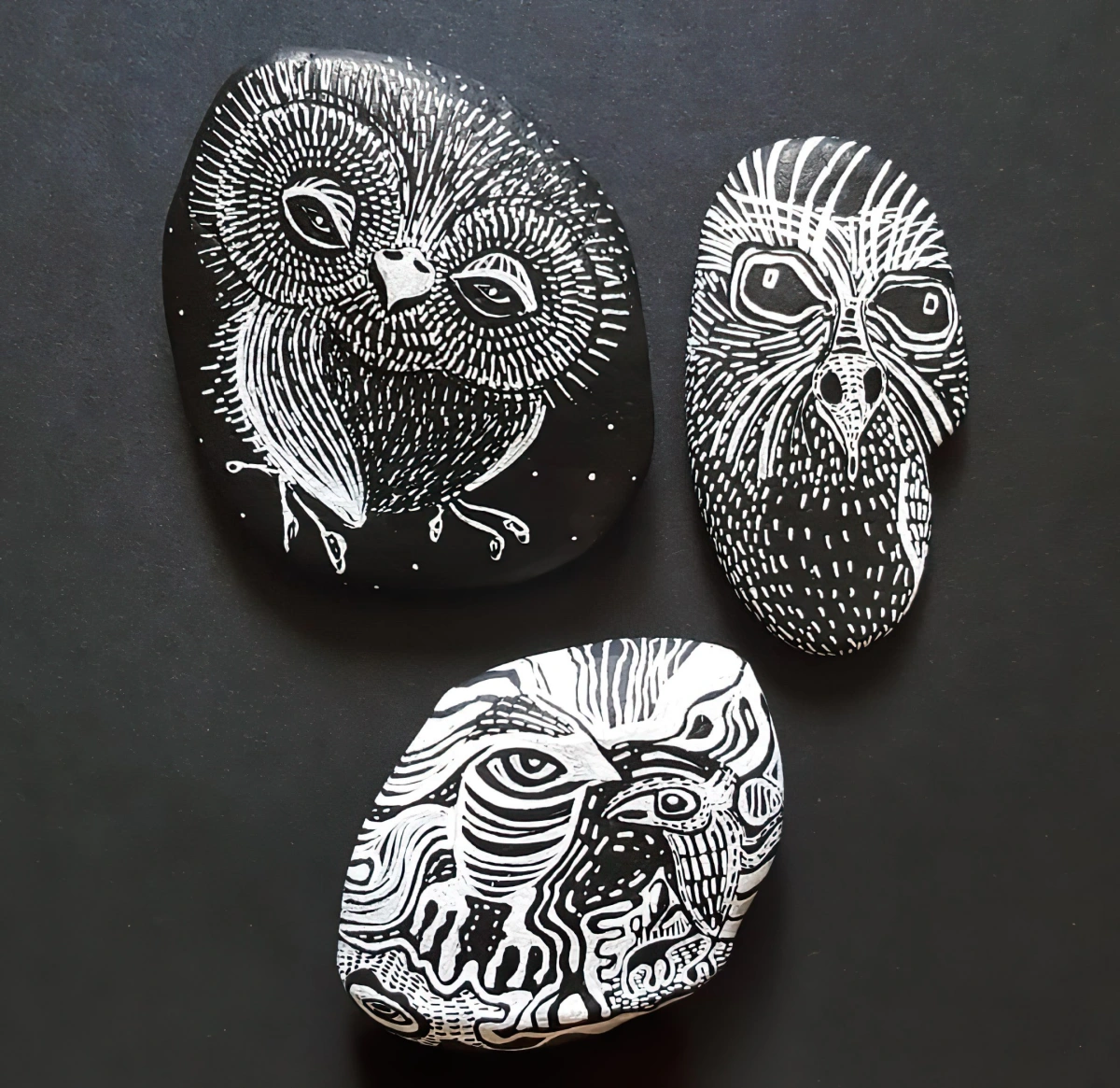 dessins d oiseaux sur pierres peintes en noires marqueur blanc