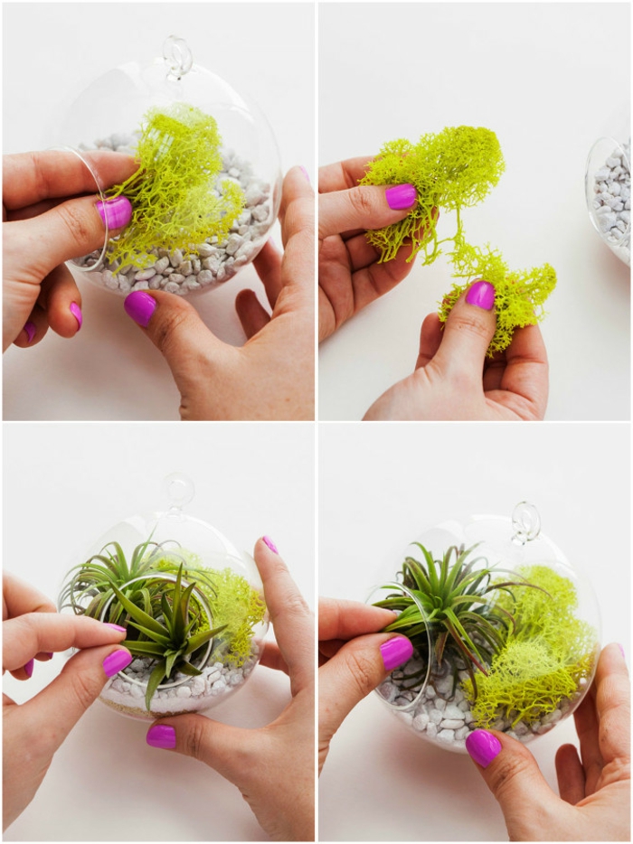 terrarium végétal, comment faire un jardin miniature, manucure violette, diy