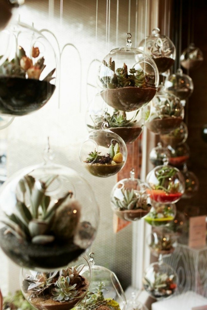 terrarium plantes grasses, diy décoration, terrarium succulente, boule en verre à suspendre
