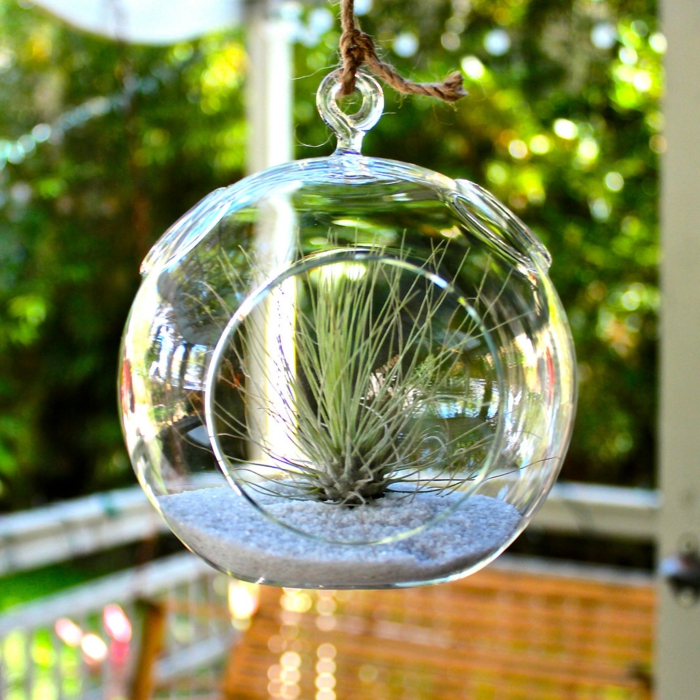 boule en verre à suspendre, banc en bois, diy décoration pour le jardin, terrarium succulente