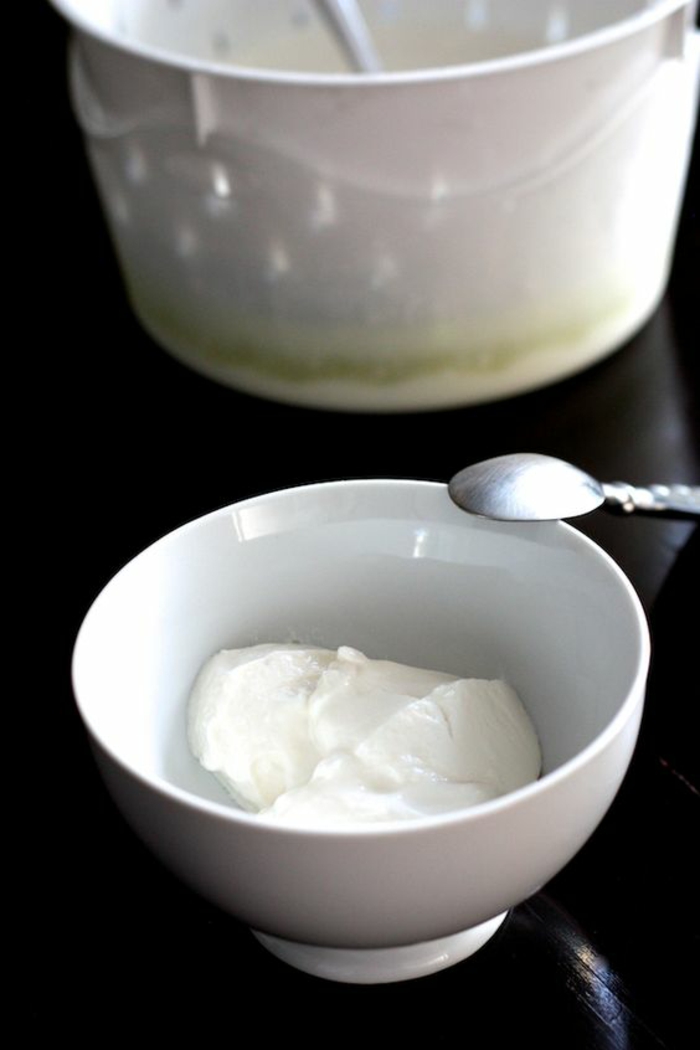 probiotique manger des yaourts et des laits fermentés