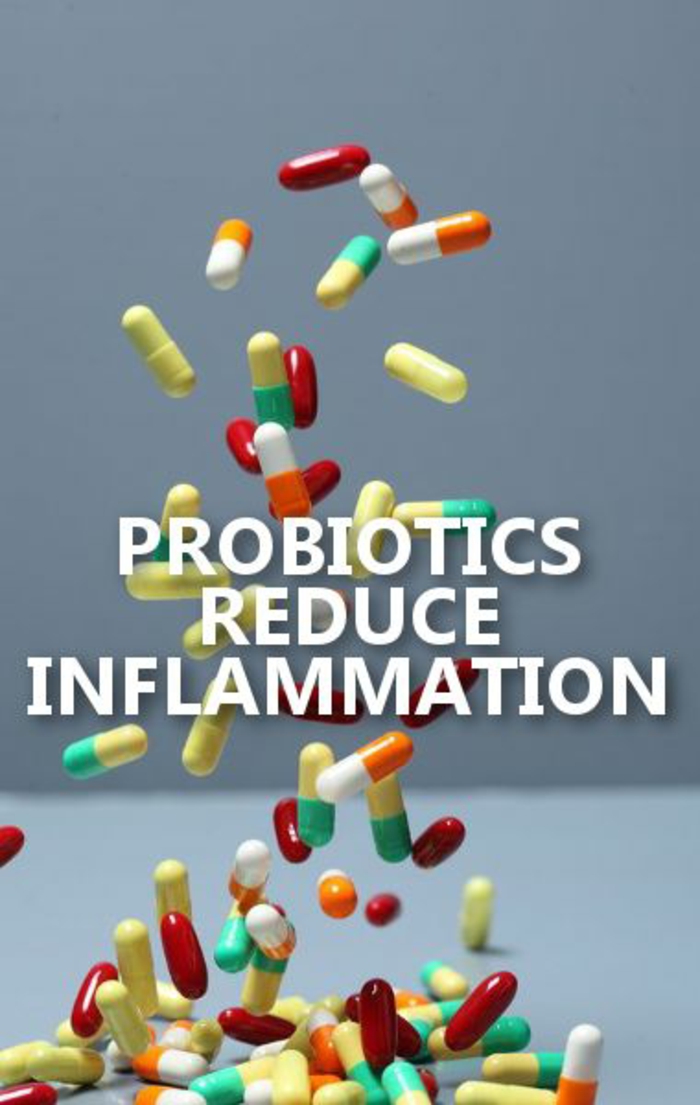 pro biotiques contre l'inflammation de l'intestin 