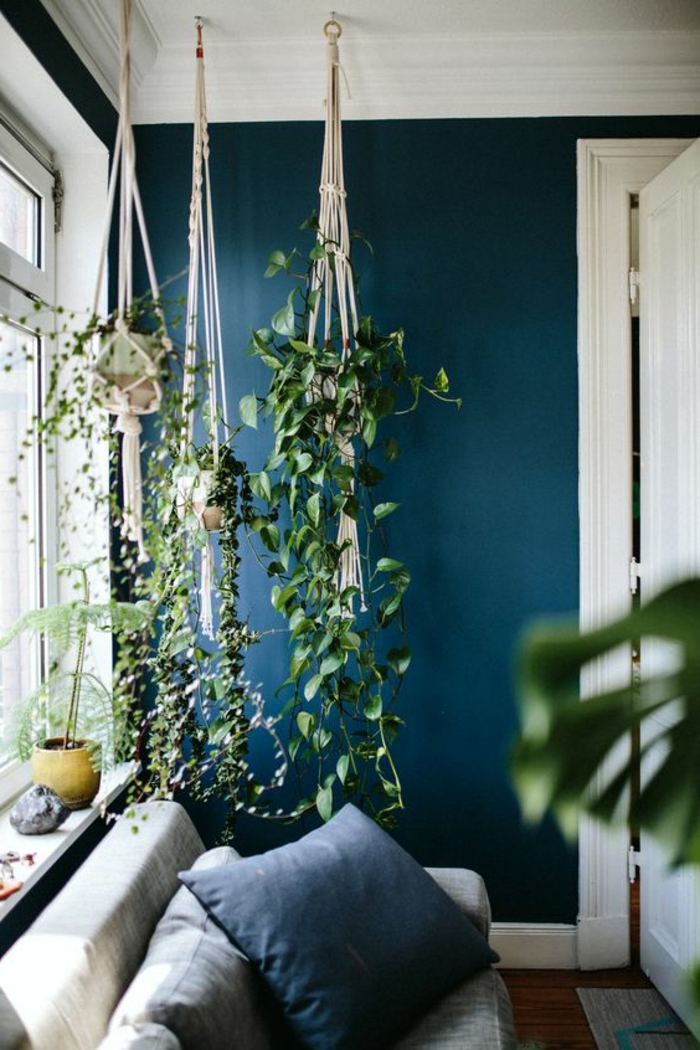 mur bleu canard, plantes vertes suspendues, sofa gris clair, coussins 