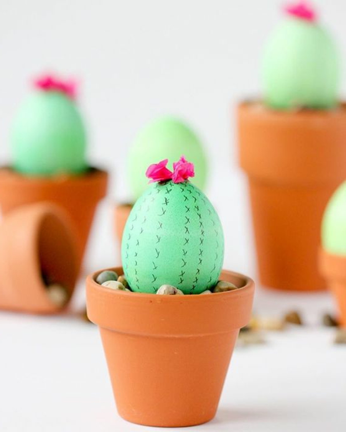Admirable idée oeuf de pâques à colorier pot avec cactus d'oeuf