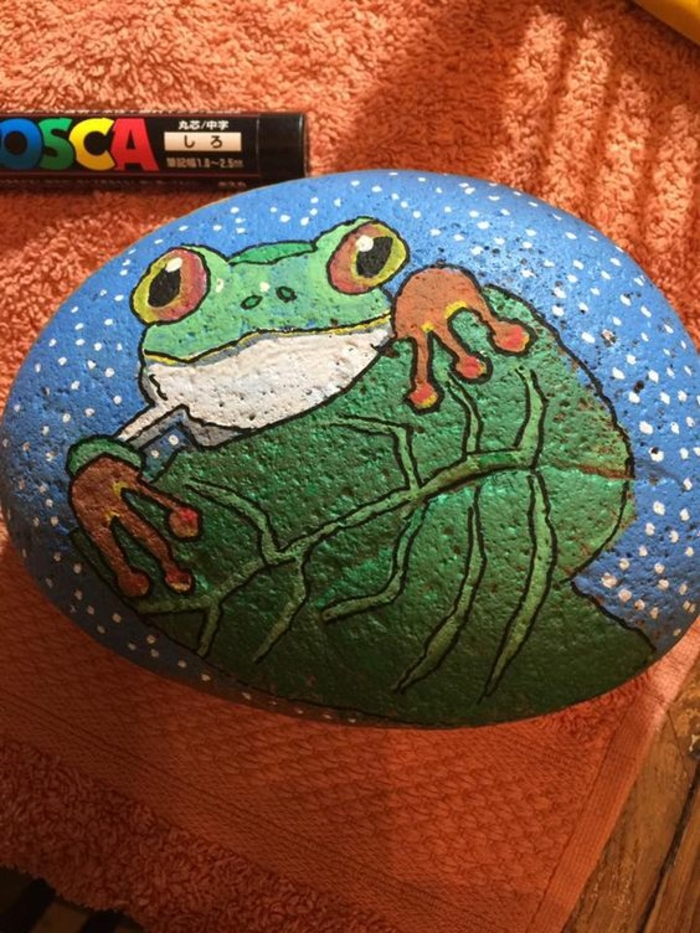 peinture galet, grenouille dessinée sur une pierre 