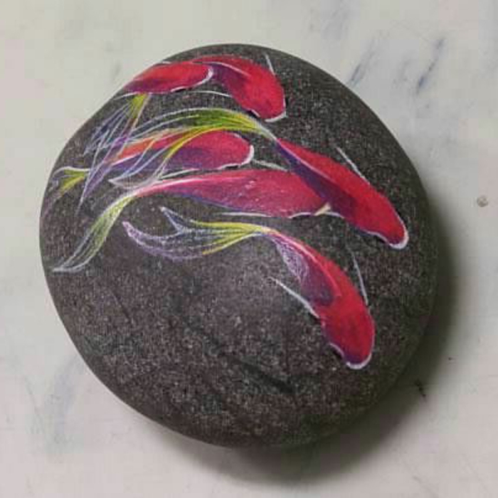 peinture sur galets, poissons décoratives dessinés sur un galet peint noir
