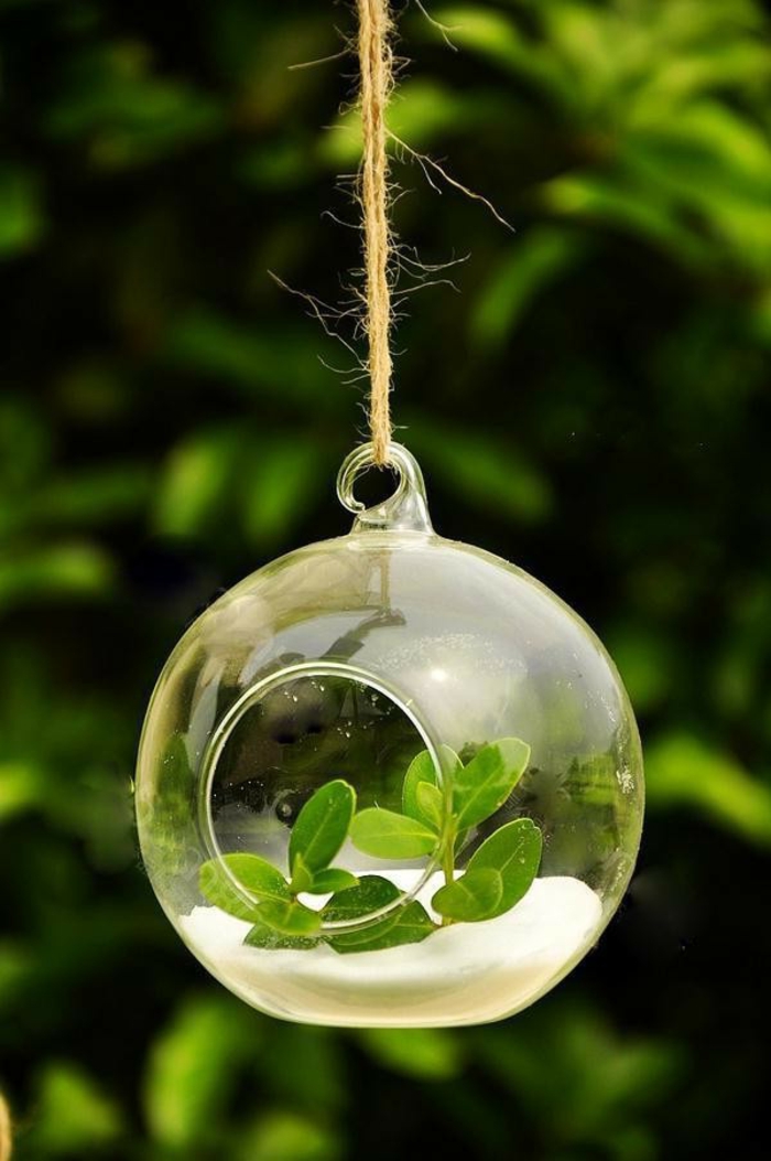 terrarium suspendu, diy décoration, boule en verre à suspendre, terrarium plante