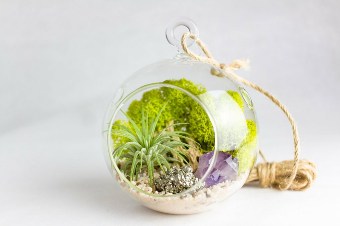 boule en verre à suspendre, cailloux décoratifs, corde longue, terrarium plante