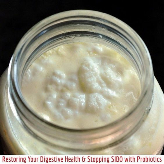 les probiotiques comme yaourts enrichis d'agents actifs