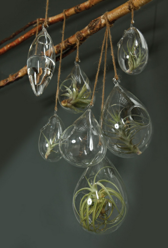 faire un terrarium, branchette décorative, terrarium succulente, récipient en verre