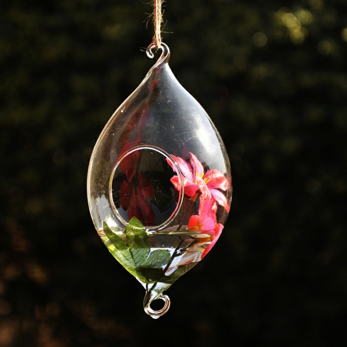 plante en bocal fermé, récipient en verre à suspendre, jardin miniature