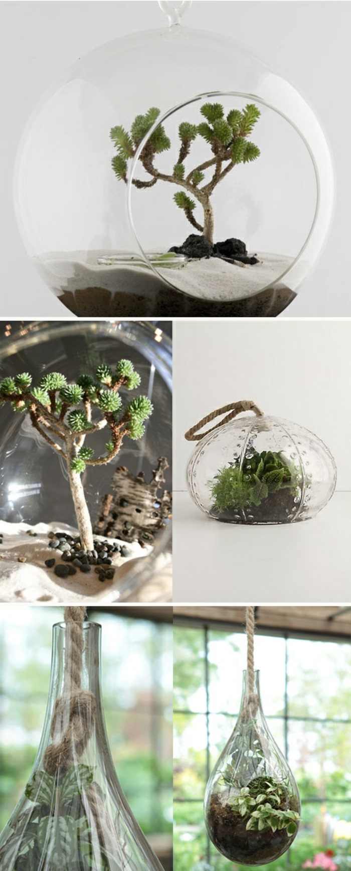 jardin miniature, récipient en verre, terrarium suspendu, sable blanc, terreau