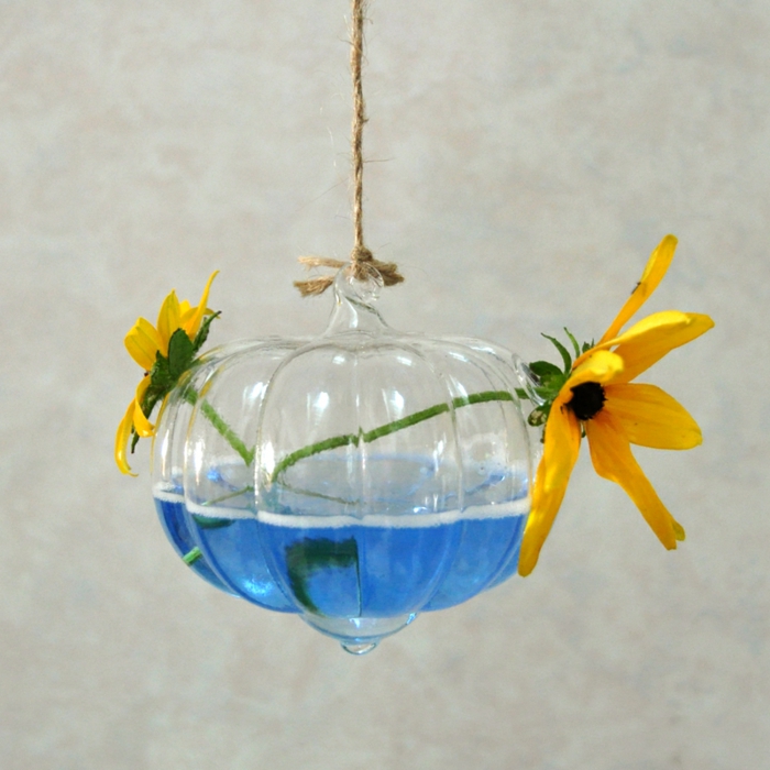  plante bocal, corde longue, faire un terrarium, récipient en verre à suspendre