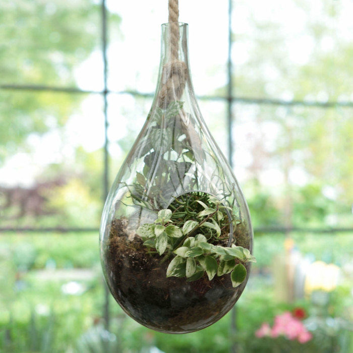faire un terrarium, plantes vertes, terreau, corde longue, grande fenêtre, jardin miniature