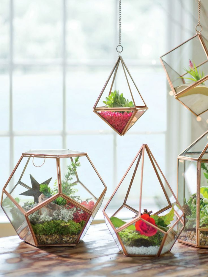 terrarium végétal, récipient en verre, grande fenêtre, table en bois, jardin miniature