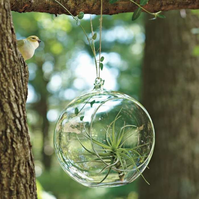 87 photos et tutos DIY faciles pour découvrir le charme du terrarium