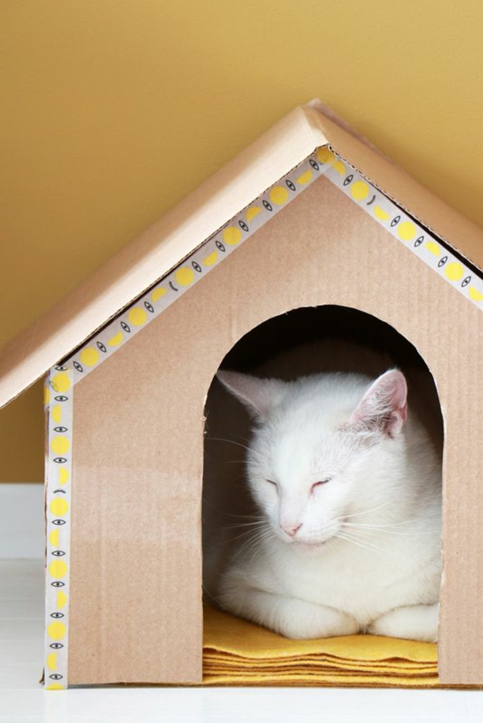 abri pour chat, petite maison de chat et chat blanc qui s'est endormi