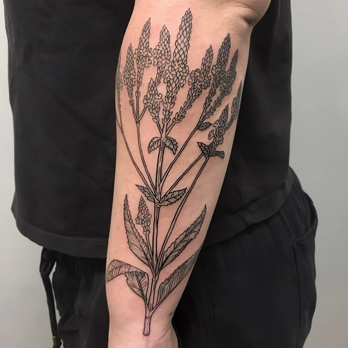 bouquet verveine tatouage homme avant bras tiges longues