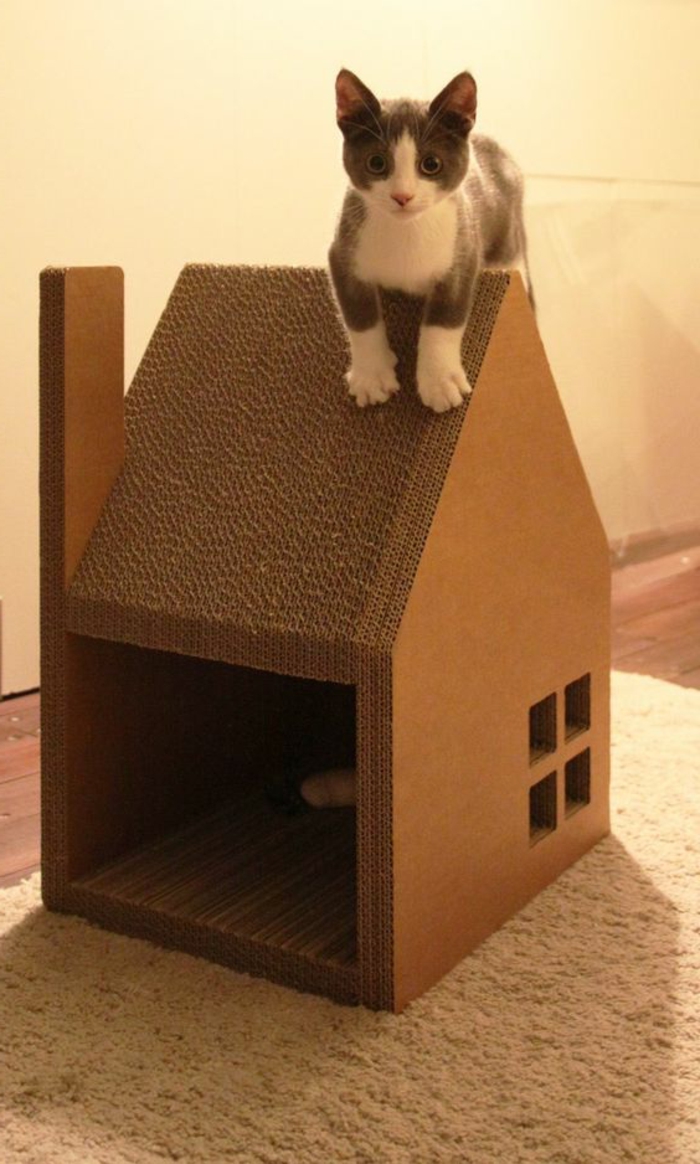 cabane a chat avec toiture et cheminée et mignon chaton sur le toit