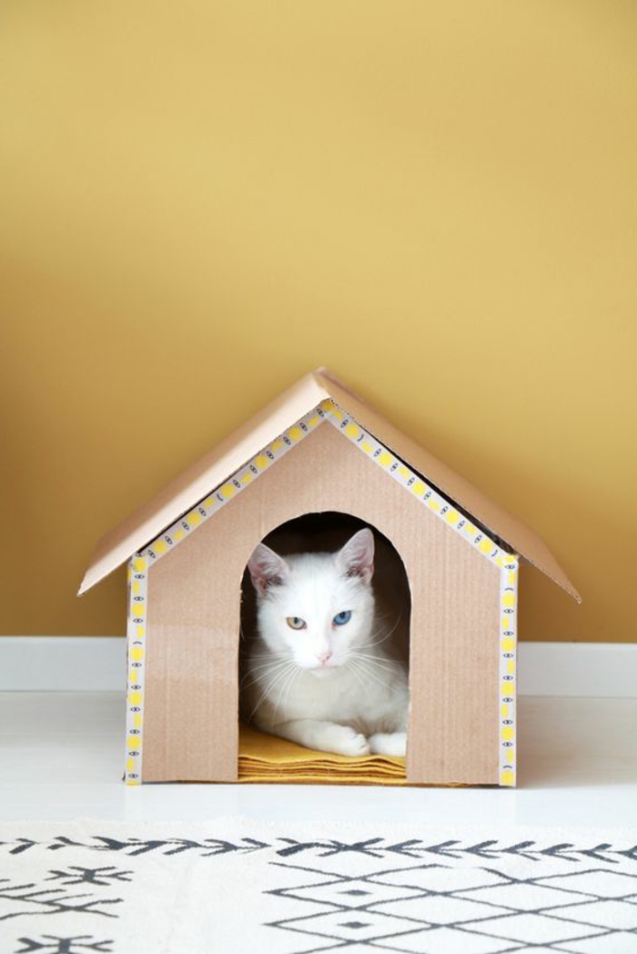 cabane a chat en carton avec un chat blanc dedans