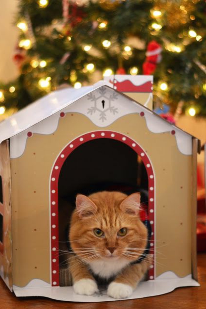 cabane a chat sous un sapin de noel décoré, grand chat roux à la porte