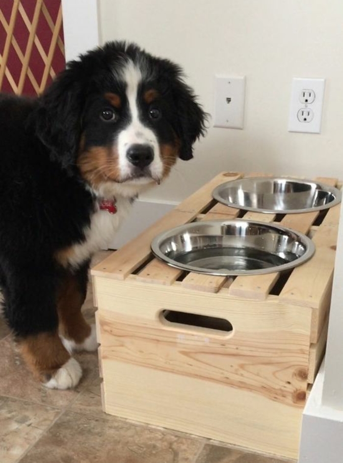 cagette en bois, projet pour réaliser un coin repas pour votre chien, idée de recyclage caisses en bois, animal de compagnie