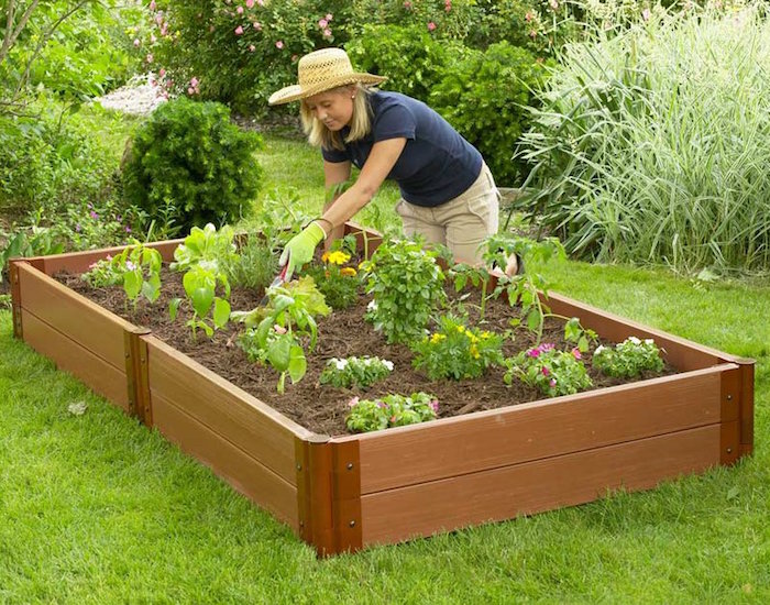 carré de potager pas cher en bois pour jardin