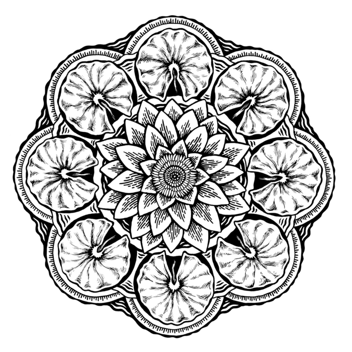 comment dessiner une rosace, motifs floraux, cercles, dessin mandala en blanc et noir, feuilles de fleurs