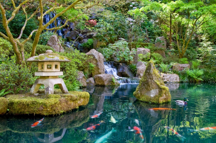 déco de jardin zen, cascade d'eau, rochers dans l'eau, bassin avec poissons rouges, lanterne en pierre zen, arbres verts